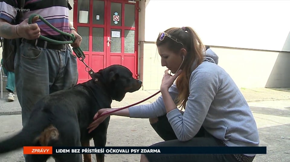 5. 4. 2018 ZPRÁVY: LIDEM BEZ PŘÍSTŘEŠÍ OČKOVALI PSY ZDARMA